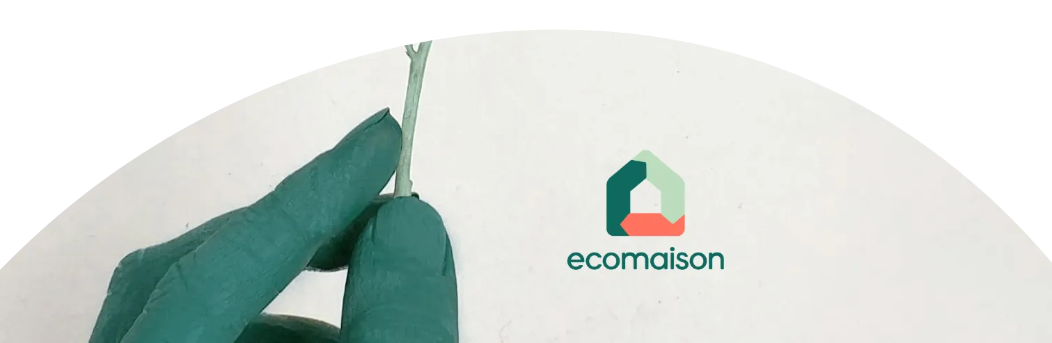 La Reine Mathilde Magasin De Meuble Haut De Gamme Caen Ecomaison Image 02 Tablet Mobile 1